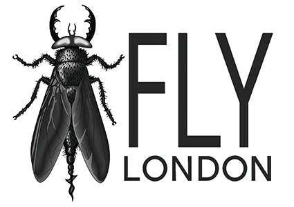FLY LONDON - cult shoes made in portugal